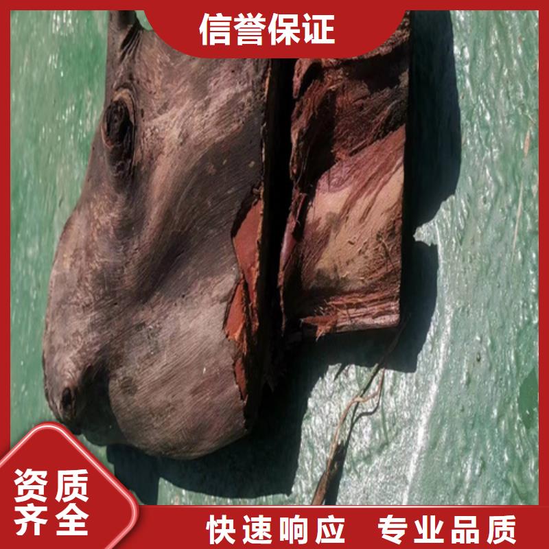 清理船底来电咨询同城公司