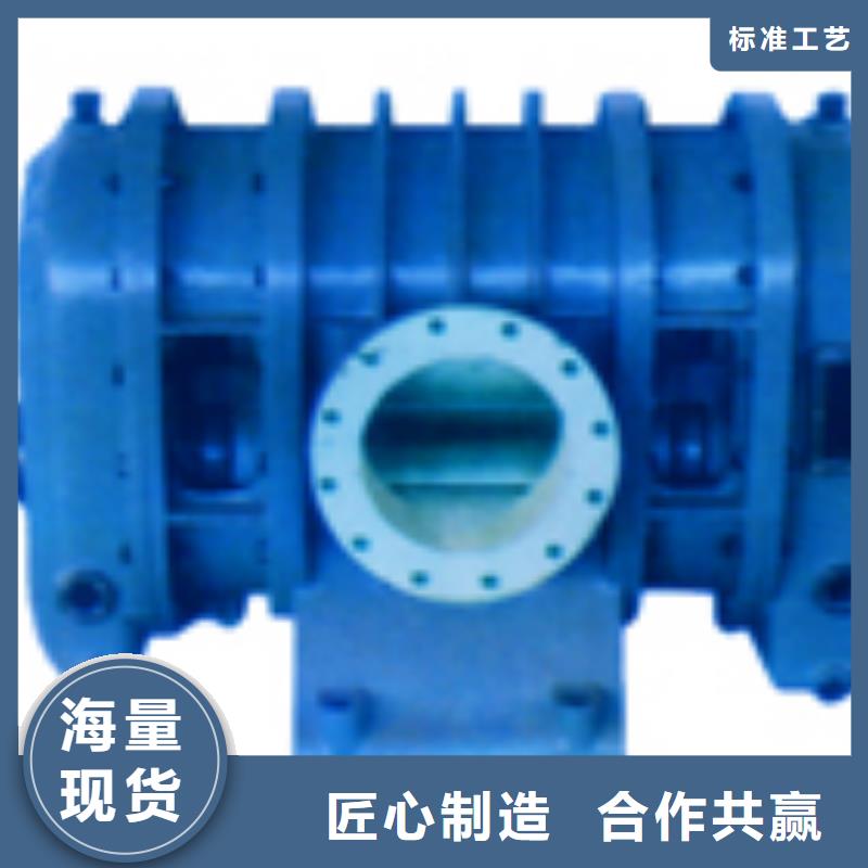 山东临风科技股份有限公司两叶罗茨风机LFSR80优选厂商