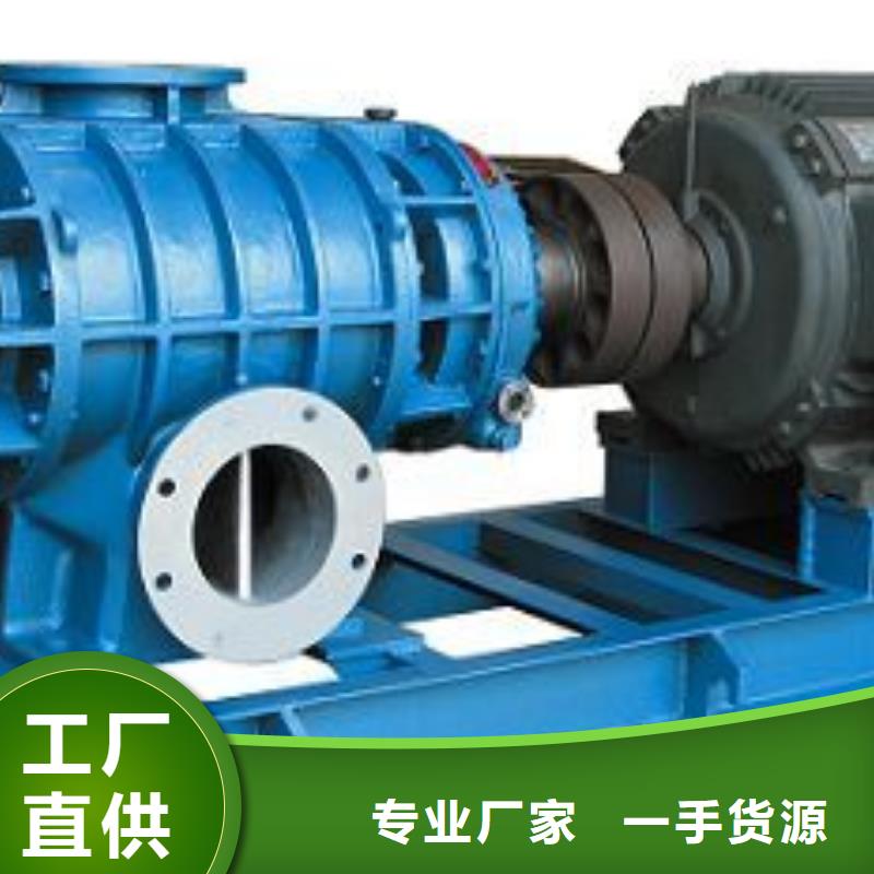 每日两叶罗茨风机LFSR150定制不额外收费