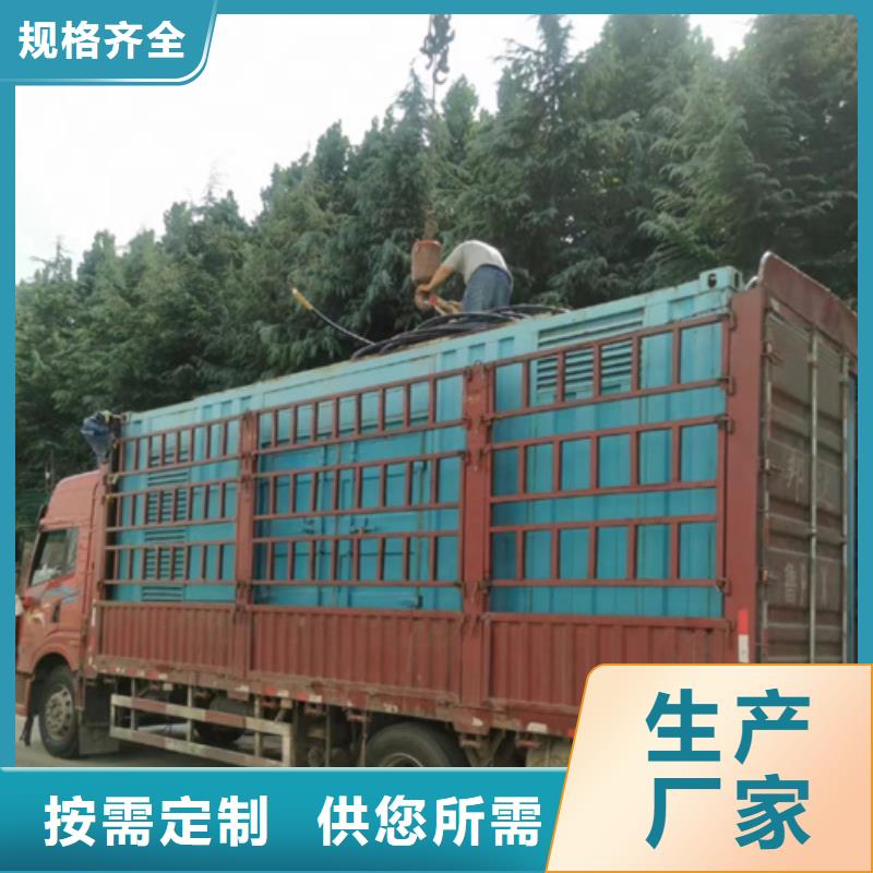 屯昌县租发电机可并机并网免运费匠心工艺