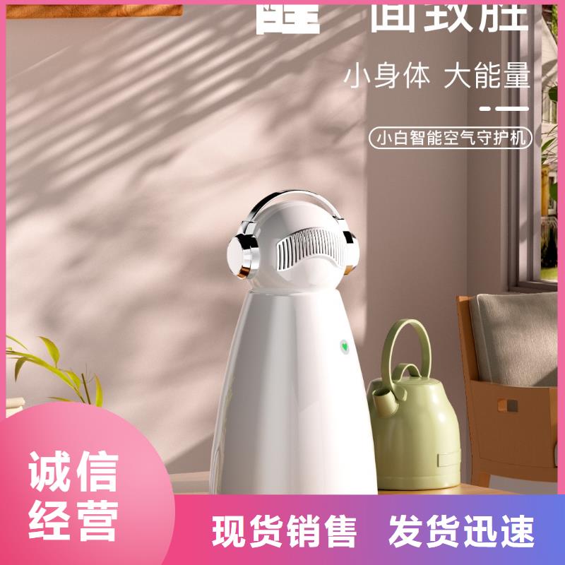 小白祛味王【空气消毒机厂家】定制零售批发专业生产品质保证