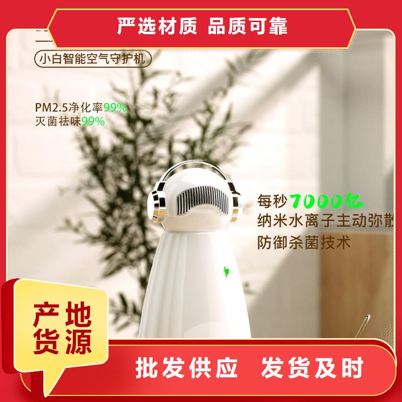 小白祛味王小白空气守护机器人批发质量优价格低不只是质量好
