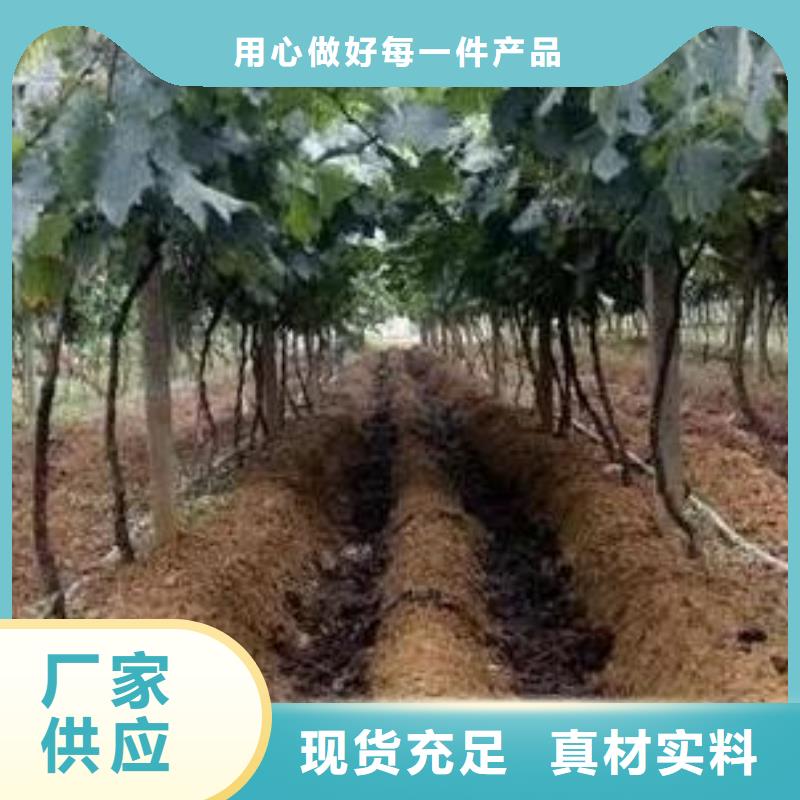 鸡粪有机肥土壤肥力当地货源