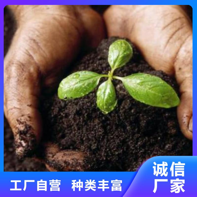 有机肥改良土壤发货及时