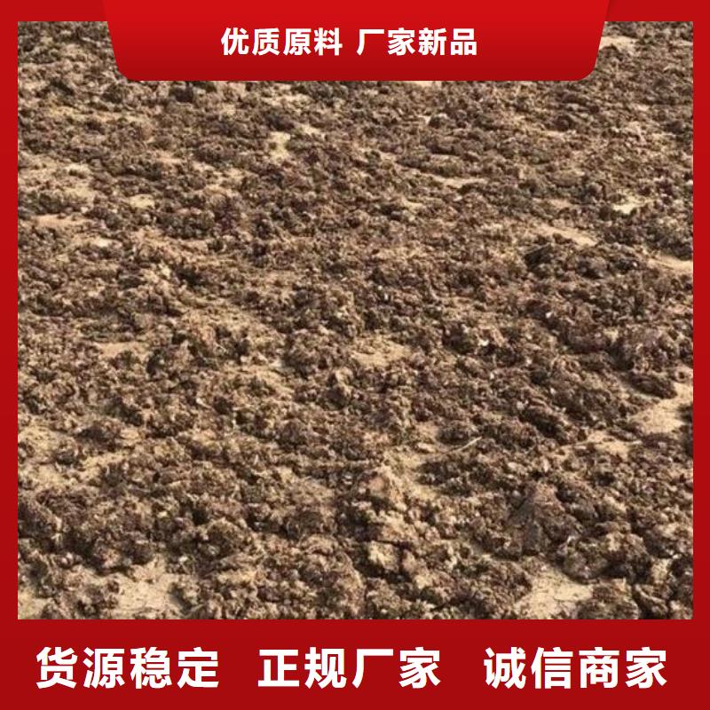 晒干鸡粪一吨多少钱一站式厂家