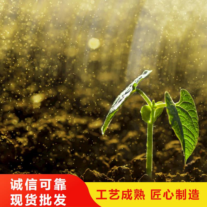 鸡粪使庄稼籽粒饱满丰富的行业经验
