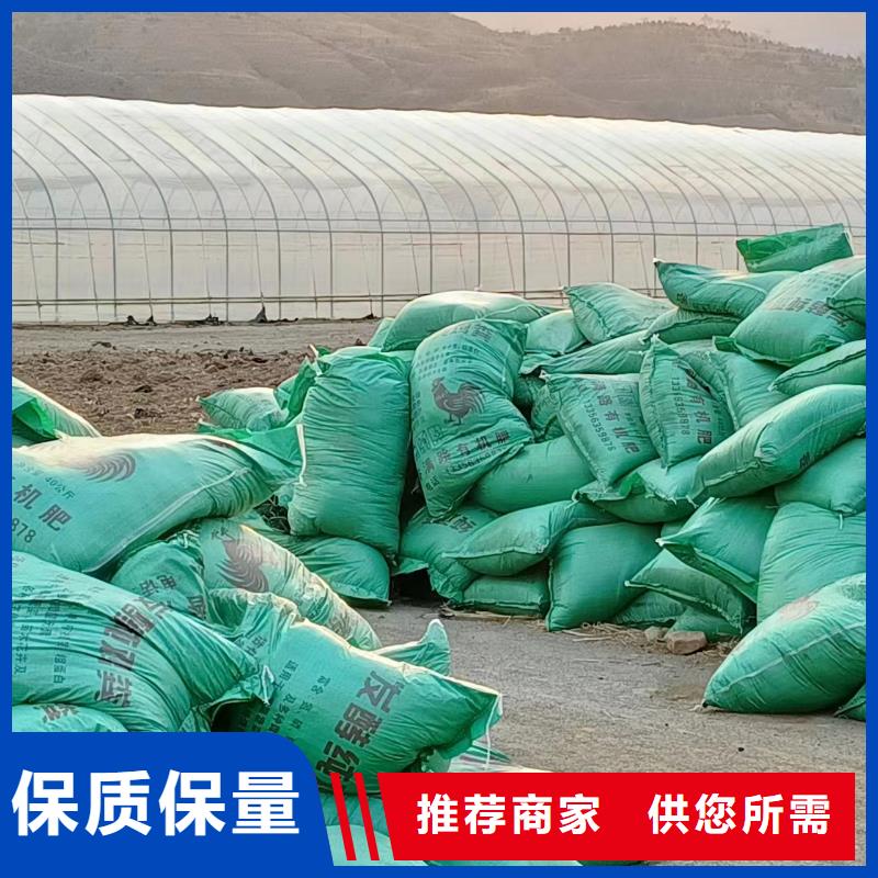 宁津平原武城干鸡粪需要的客户看过来批发货源