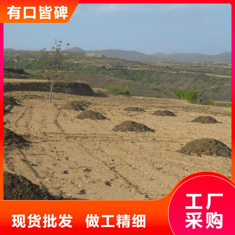 中山市阜沙镇稻壳鸡粪厂家好厂家有担当