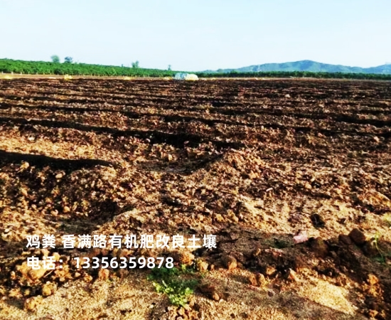 发酵鸡粪简介当地生产商