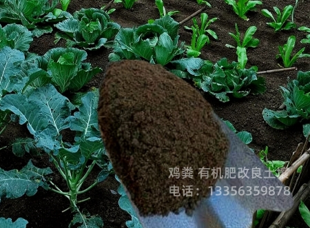 【鸡粪免费获取报价】