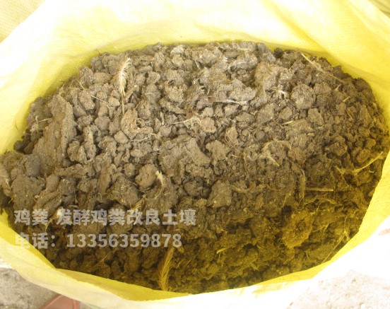 干鸡粪厂家发货