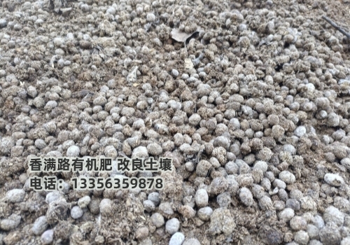 干鸡粪质量上乘本地制造商