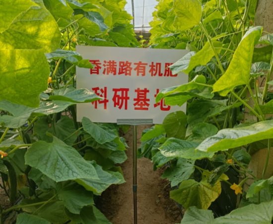 羊粪有机肥新价格