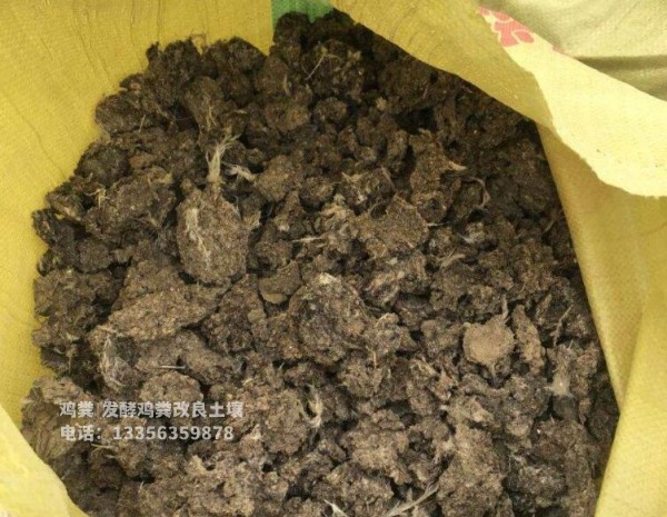 晒干鸡粪园林绿化用着好