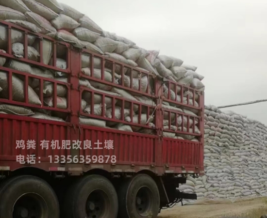 鸡粪改善养殖环境