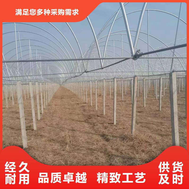 电动卷膜器折弯报价本地生产商