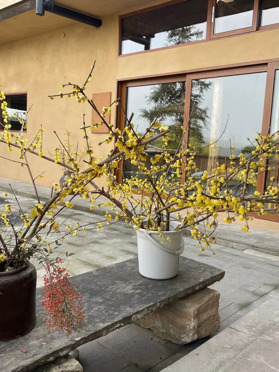 乡村改造稻草漆，仿夯土漆，乡村改造，稻草漆施工价格