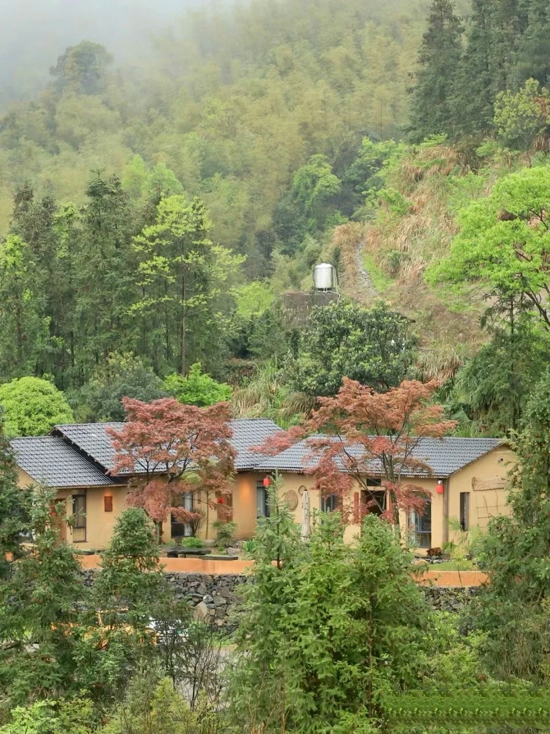 美丽乡村，老房翻新，民宿改造，稻草漆全包施工