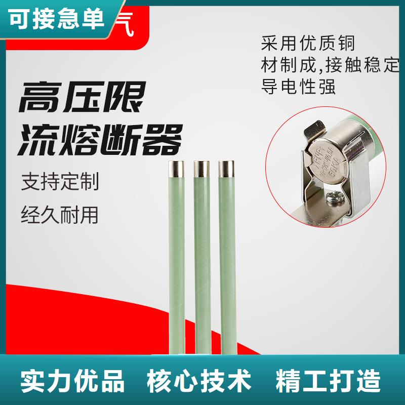 XRNP-40.5/2A高压熔管可放心采购