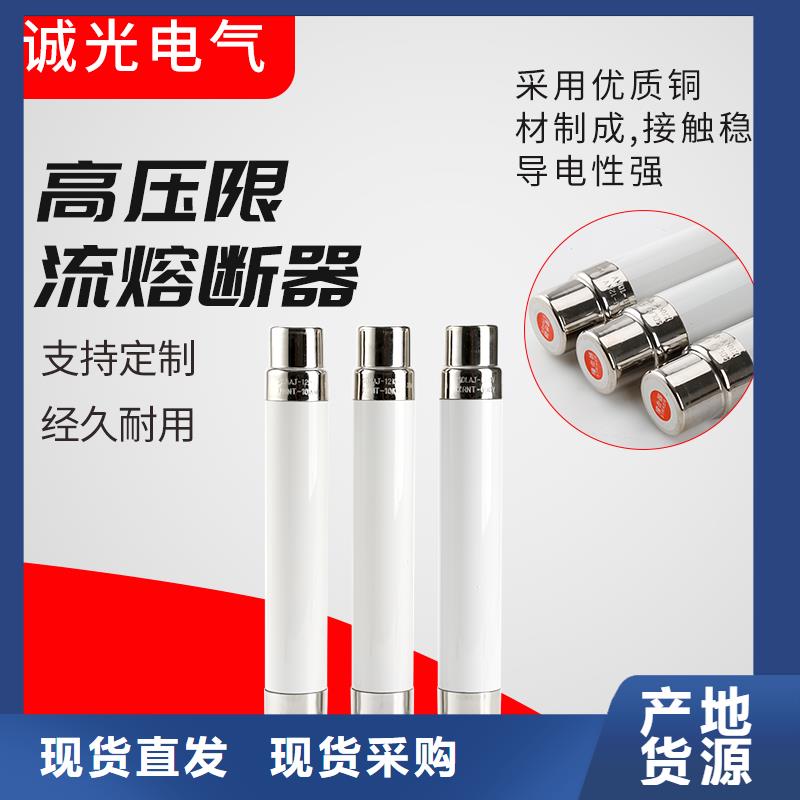 XRNT-12/2A熔管屯昌县同城制造商