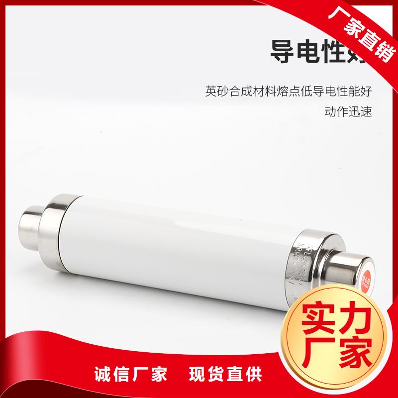 RNK-6/100A双管限流熔断器厂家直销值得选择