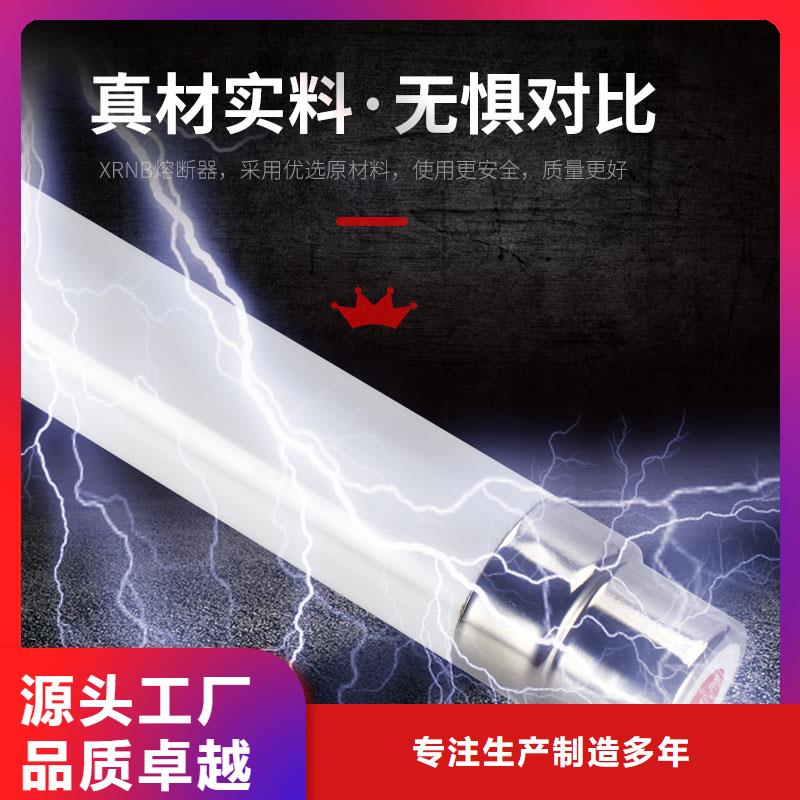 XRNT1-24/160A熔管当地生产厂家