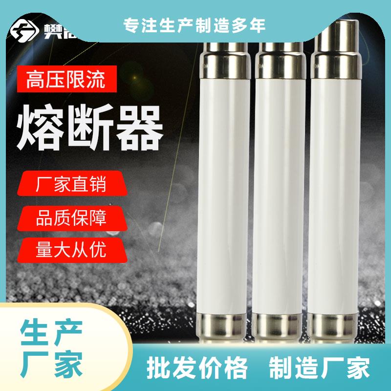 XRNT1-10/80A限流熔断器一站式服务