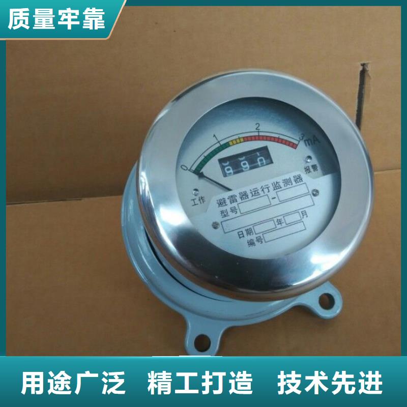 JS-10避雷器计数器当地供应商