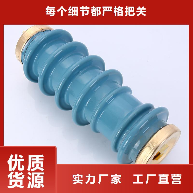 FZ-30阀式避雷器好品质售后无忧