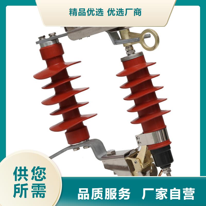 Y2.5W-12.7/31金属氧化物避雷器现货齐全售后无忧