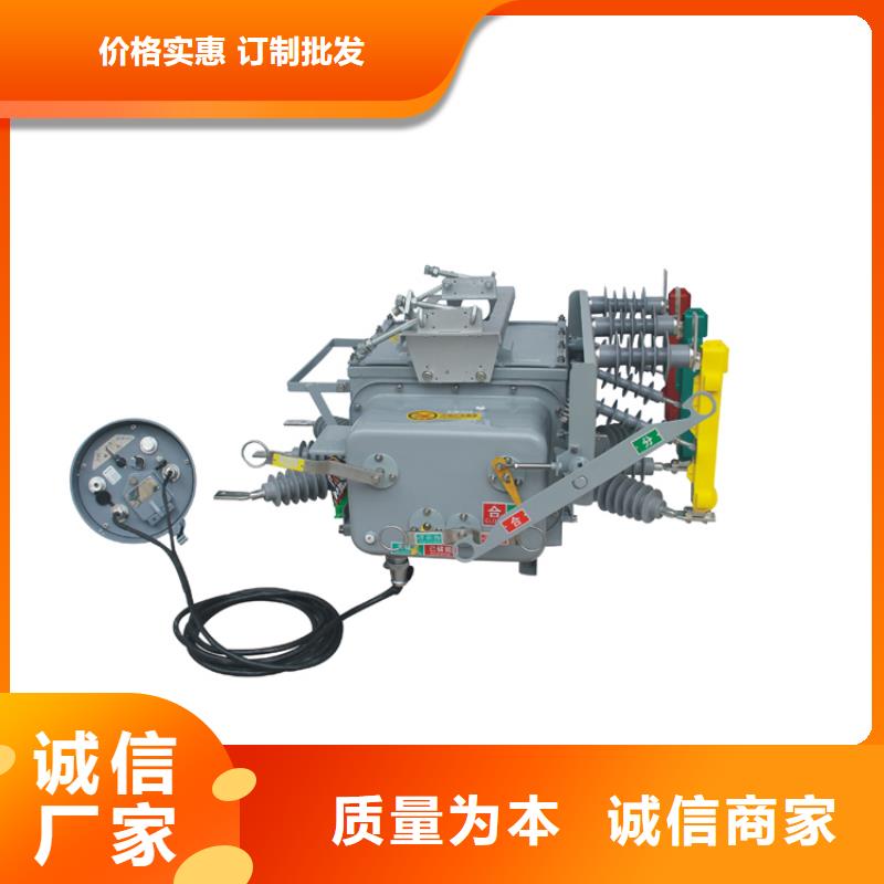 ZW43A-12/T630-12.5户外高压真空断路器本地公司