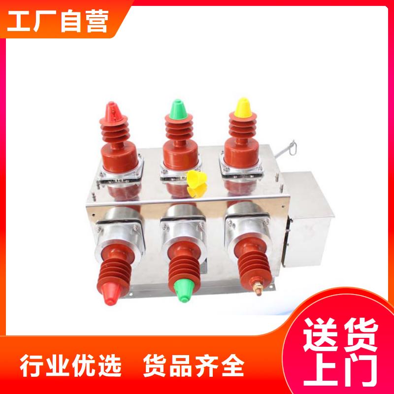 ZW7A-40.5/T630户外柱上断路器一周内发货