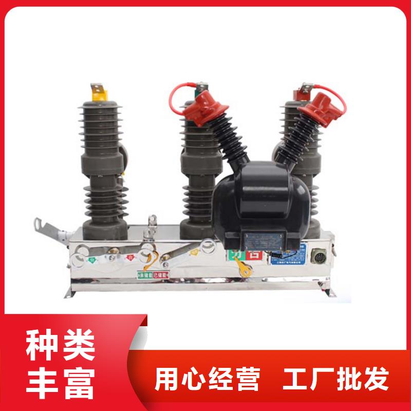 ZN28-12T/1000-20连体式系列户内真空断路器细节之处更加用心