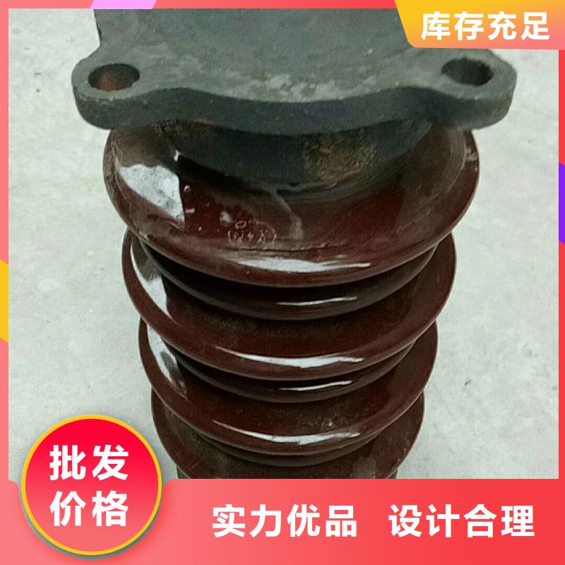 FZSW-110/10复合绝缘子精工制作