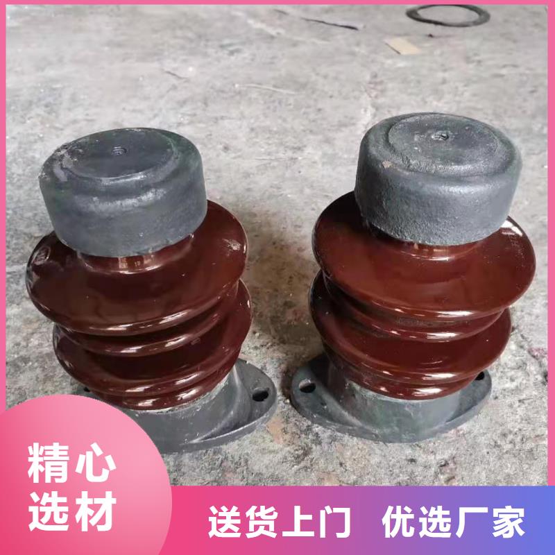 ZJ-10Q/100*140绝缘子用心细节