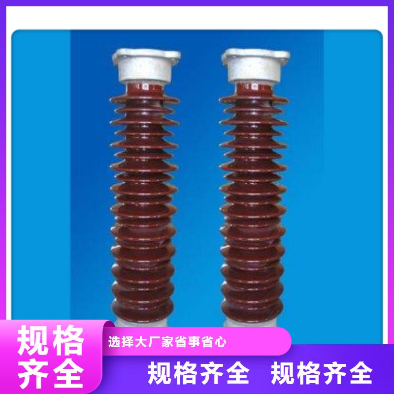 ZSW2-110/10-3绝缘子优势