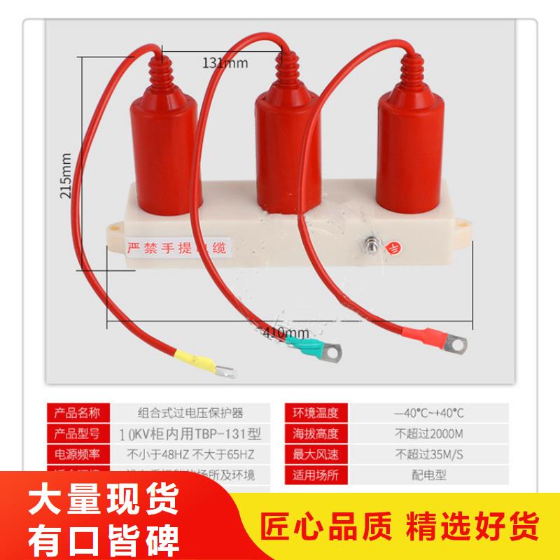 TBP-A-7.6F/150-J串联间隙过电压保护器同城厂家