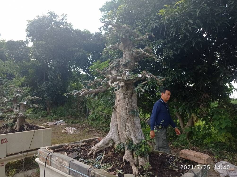 预拌流态固化土施工单位沙土固化剂必看按需定制
