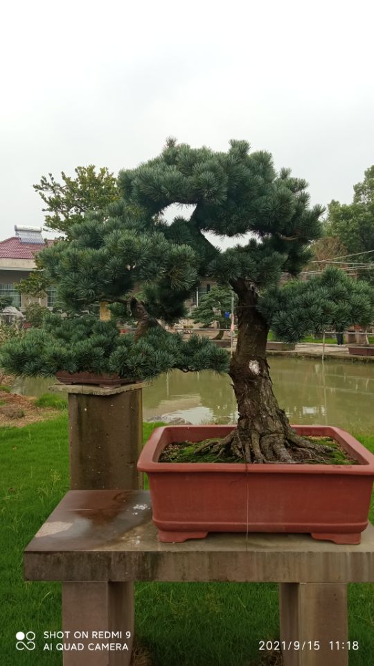 海泥软土加固淤泥固化剂厂家直销支持非标定制