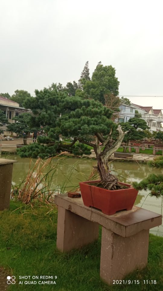 预拌流态固化土施工土壤固化剂批发零售当地经销商