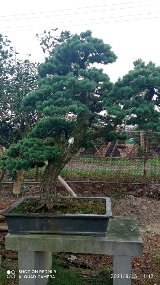沼泽治理土壤固化淤泥固化剂采购同城生产商