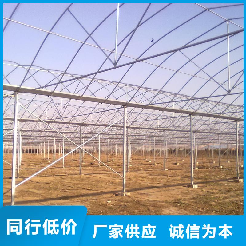 温室大棚管发货快本地货源