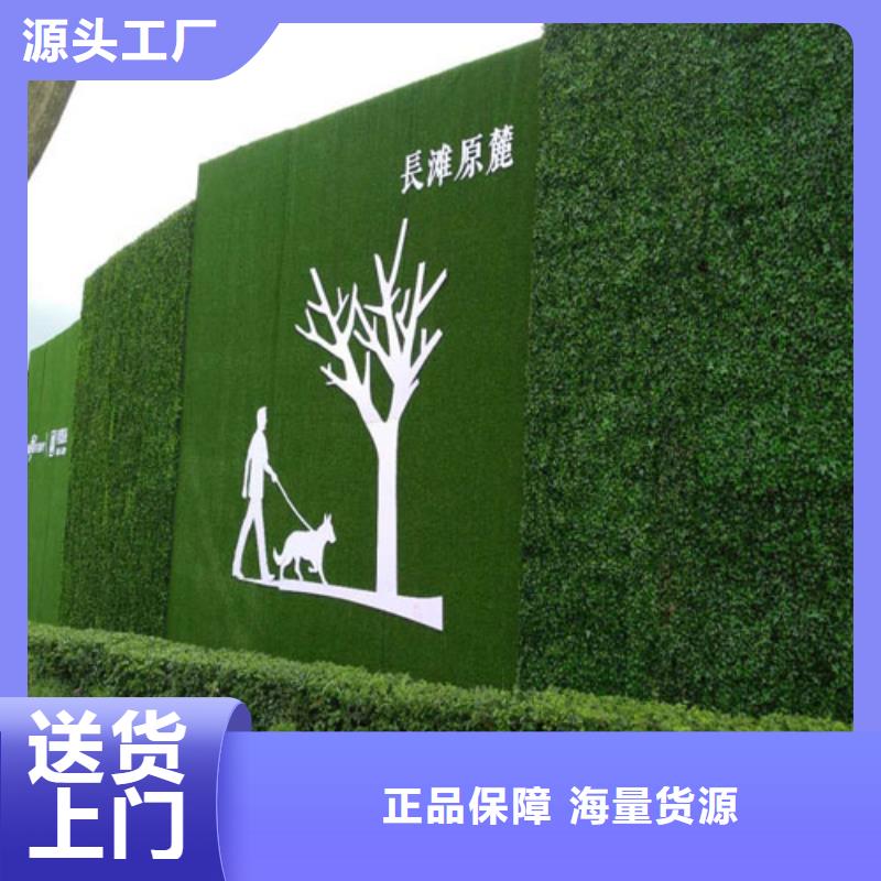 东安工地围挡仿真草皮生产销售基地低价货源