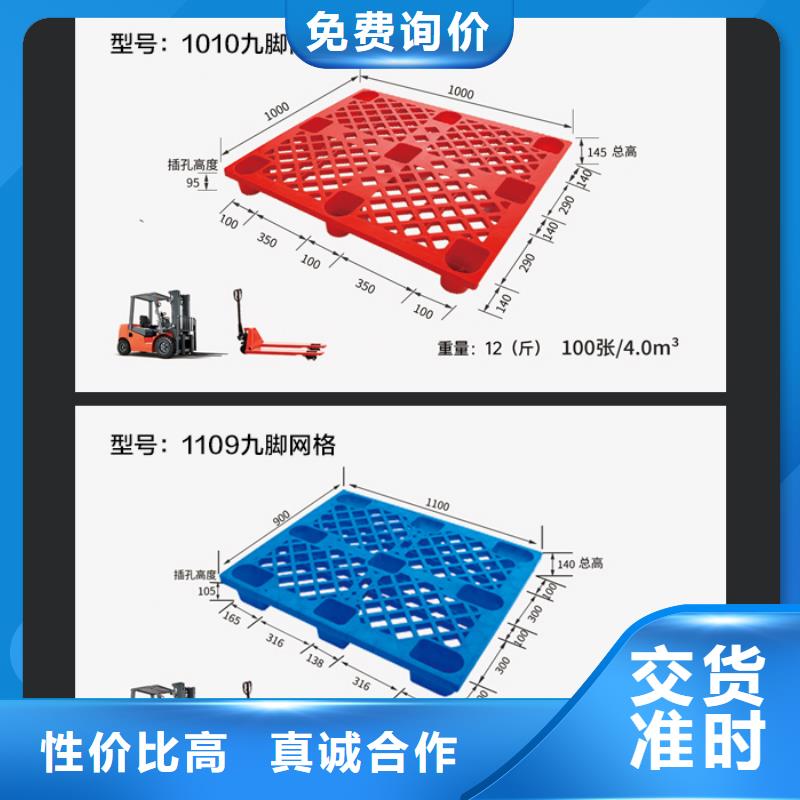 豆类蔬菜保鲜库塑料托盘生产厂家本地品牌