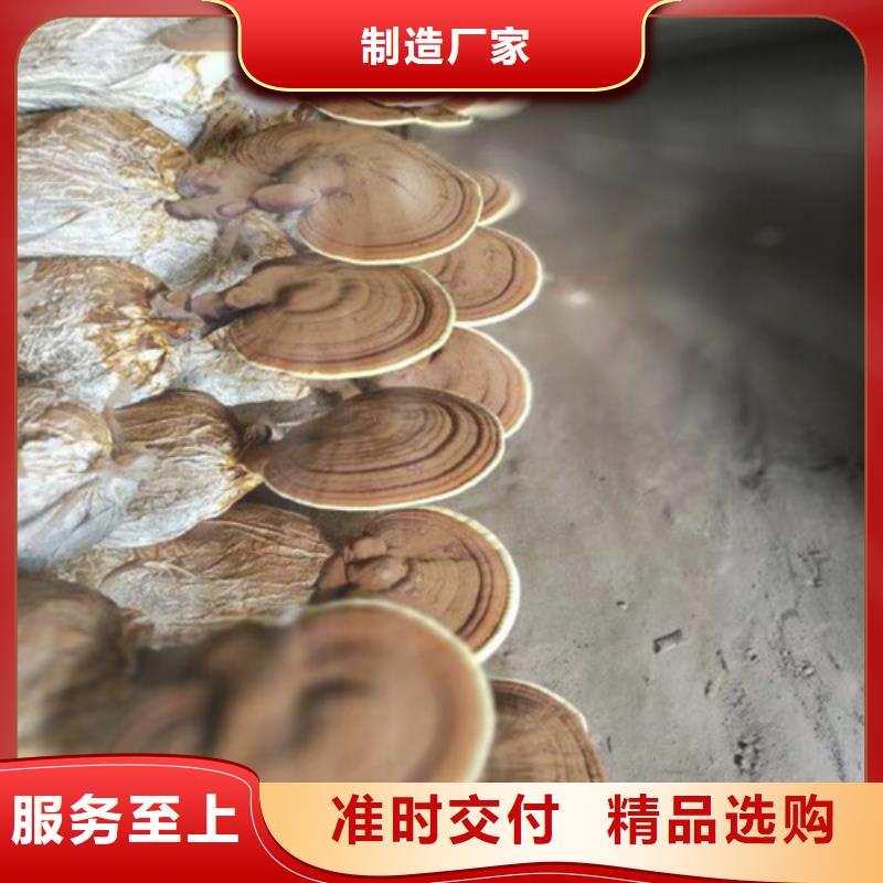 德阳
灵芝孢子粉广受好评