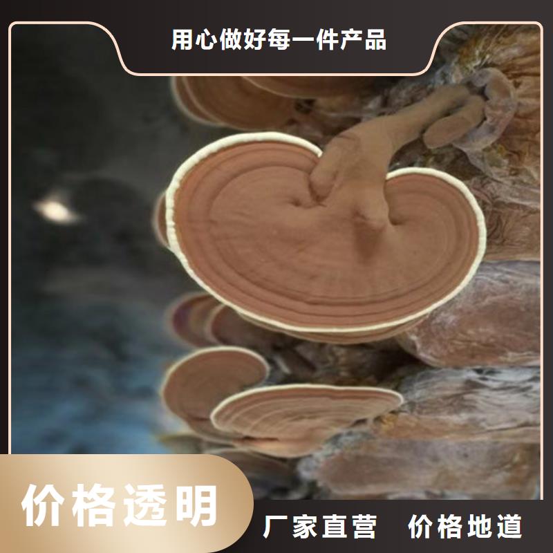 德阳
灵芝孢子粉广受好评