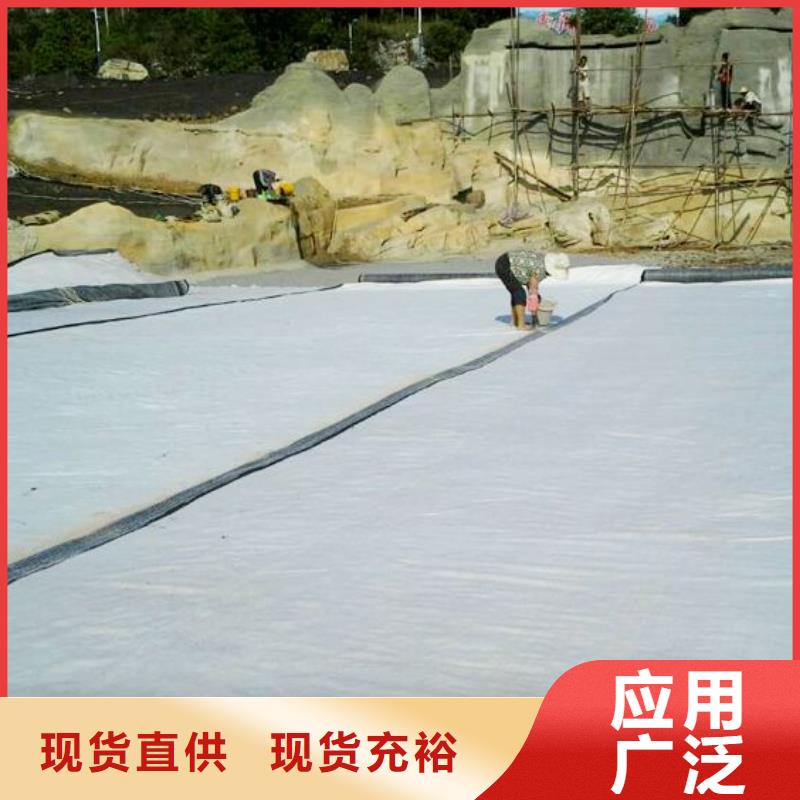 膨润土防水毯应用及领域同城生产商