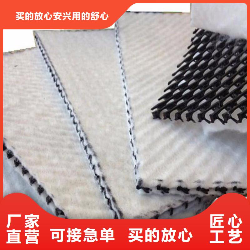 三维复合排水网多少钱一平方_三维复合排水网厂家价格直销质保一年