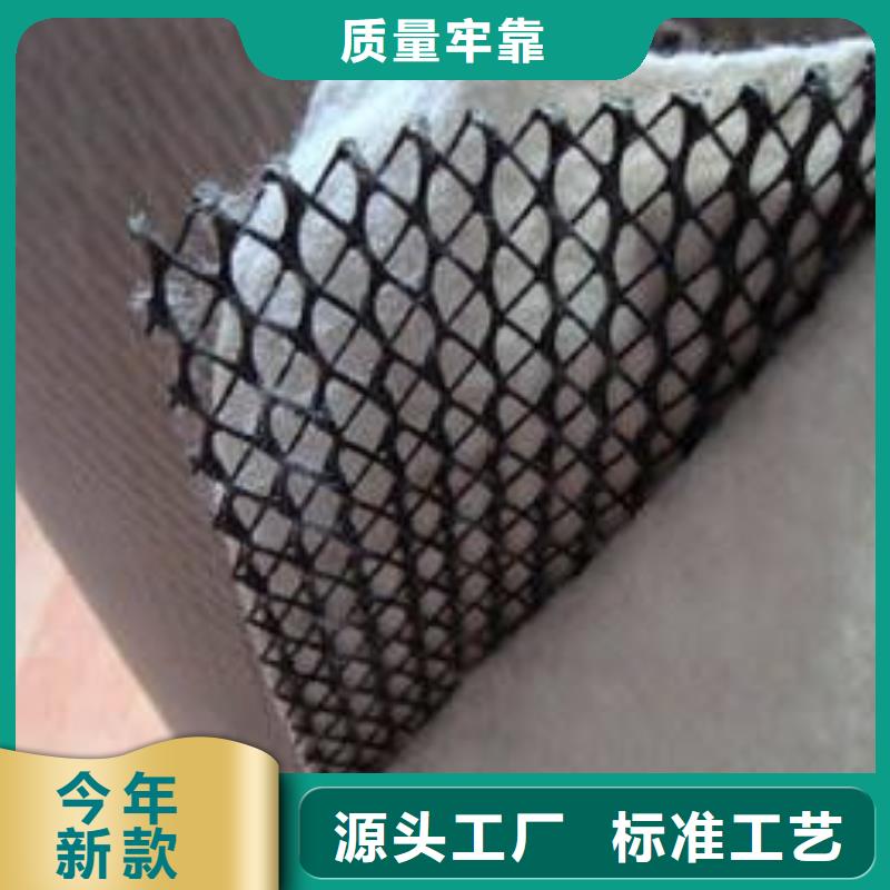 三维复合排水网多少钱一平方_三维复合排水网厂家价格直销实力公司